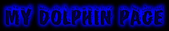 my_dolphin_logo.jpg